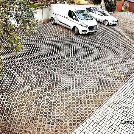 Apartment Apartment Green Villa *